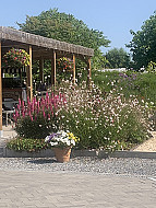 Wellen - B&B Hartje Haspengouw