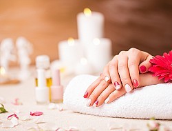 Waasland - Overname handelsfonds verjongings- en ontharingscenter