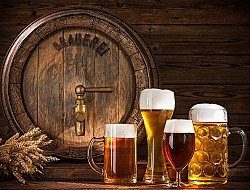 Kortrijk - Café te huur