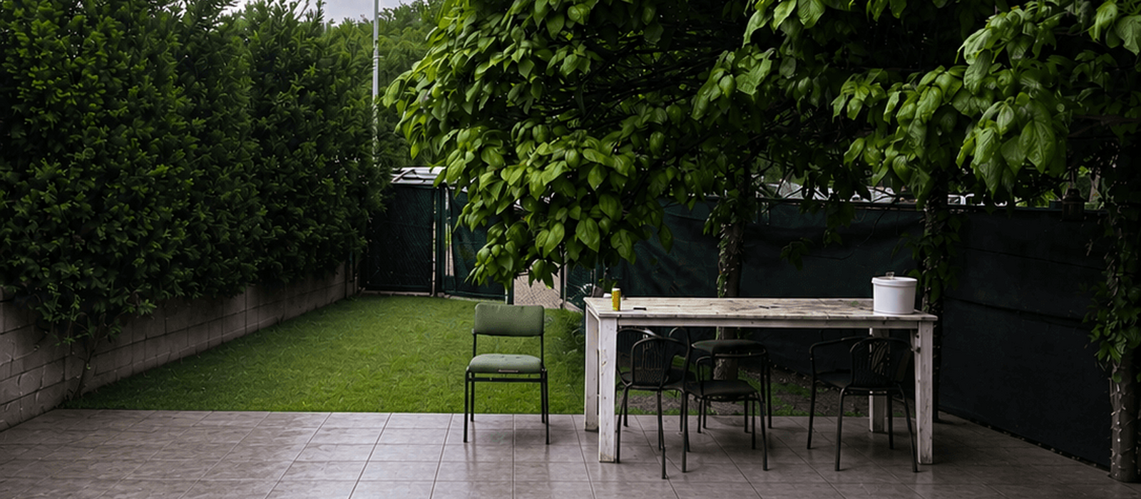 1778835794-tuin