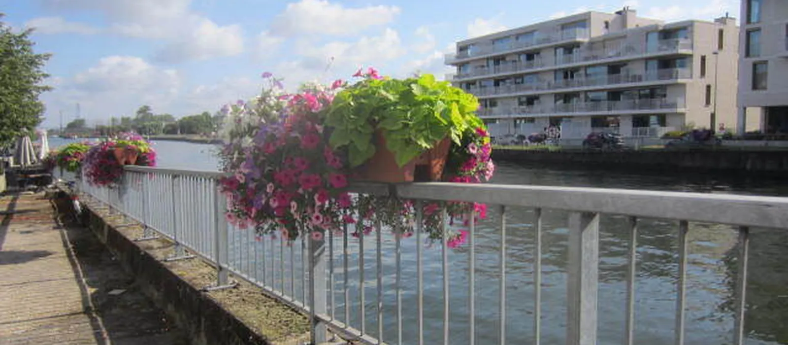 1723548223-IMG_3647