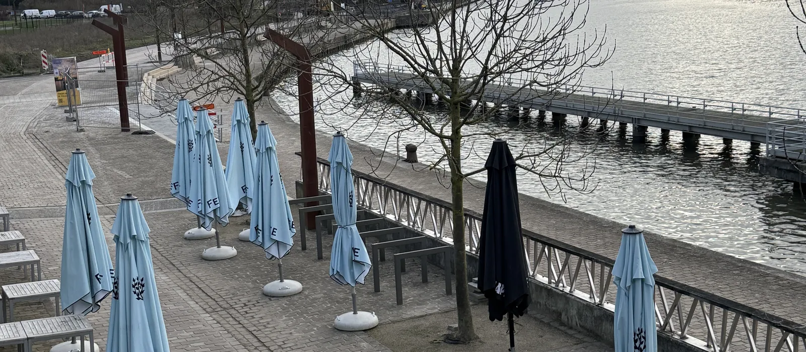 1766413330-IMG_6392