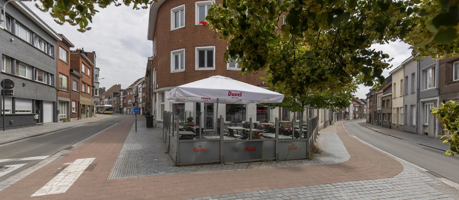 Lr kapelstraat 1 2850 boom 001