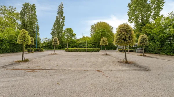 1779114767-image3190715