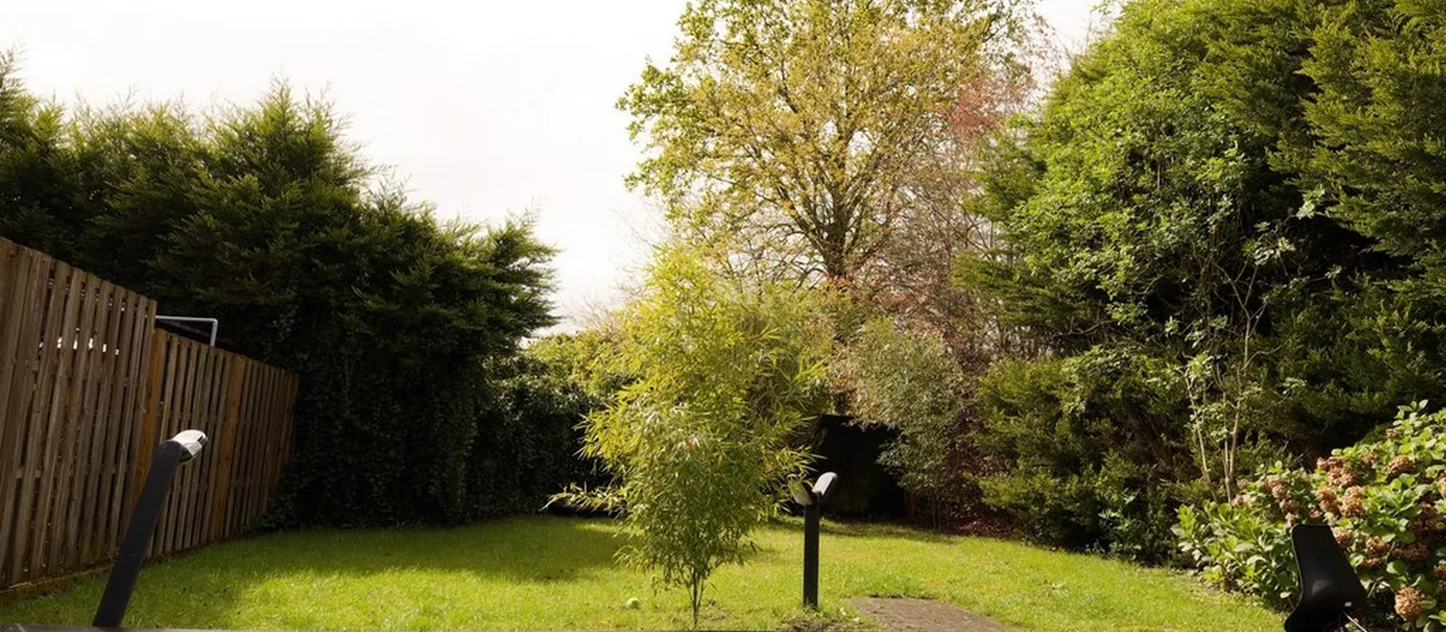 1764867106-image2883201