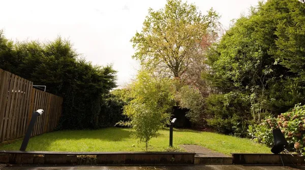 1764867106-image2883201