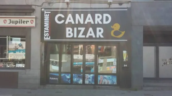 1678258944-canard
