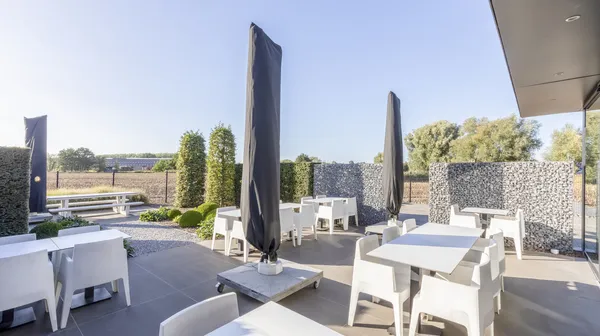 Terras