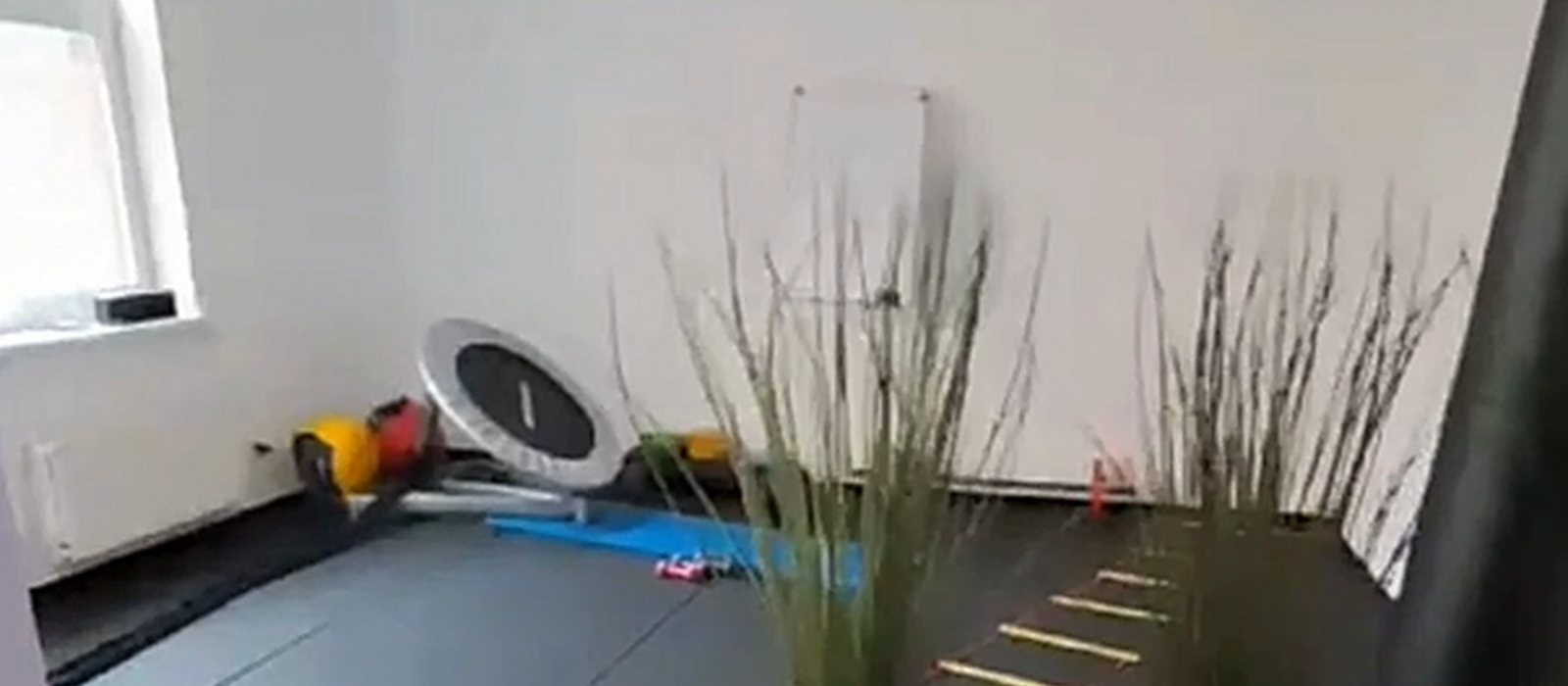 Schermafbeelding 2026 06 24 100138