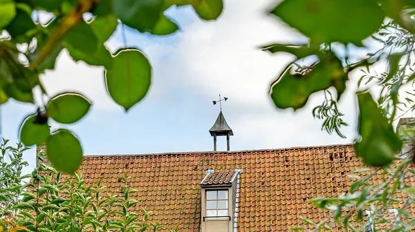 1773986335-Oude_Gistelsteenweg_8-Jabbeke_HR_136