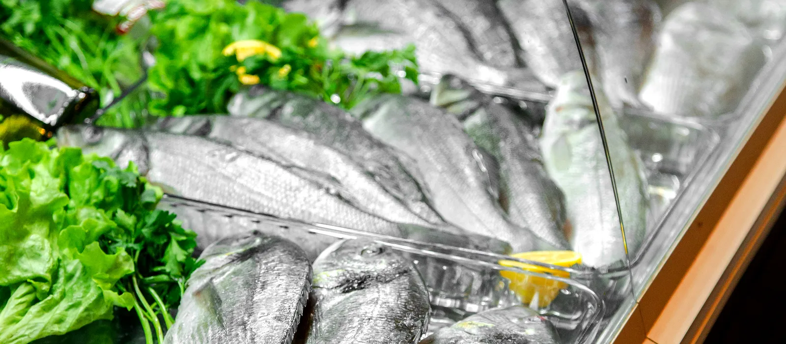 Raw fish refrigerator display restaurant