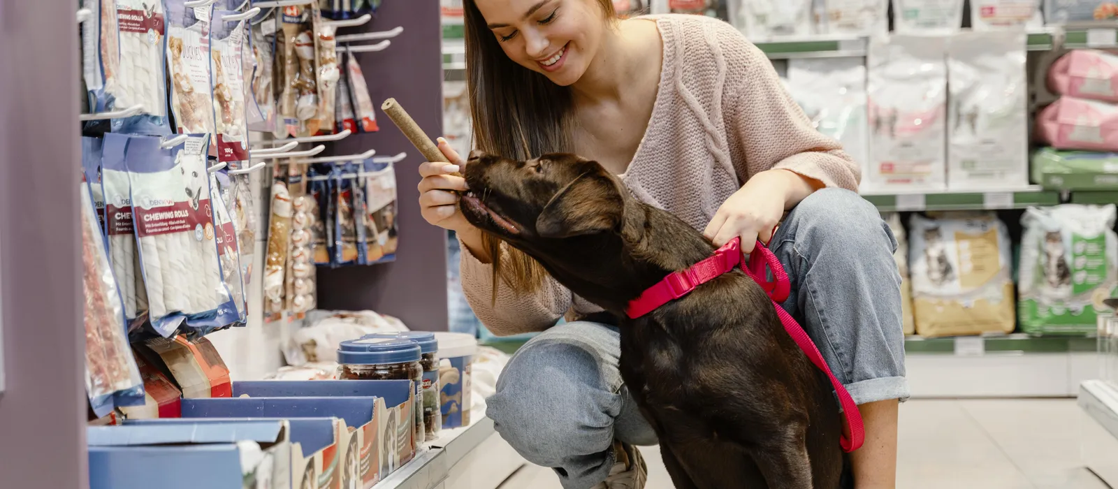 Adorable dog with owner pet shop